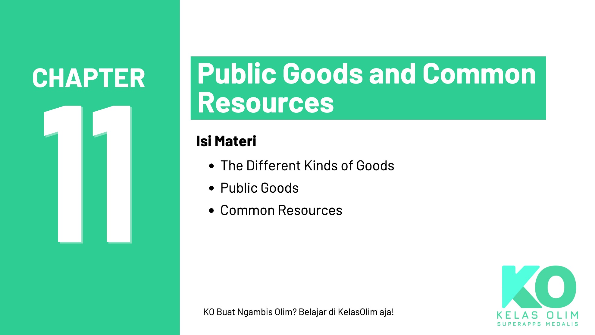 Chapter 11 - Public Goods and Common Resources